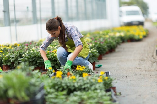 Gardener inspecting a garden path for a complaint assessment