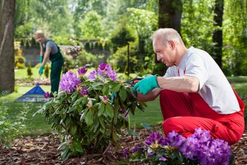 Team training session with gardening equipment