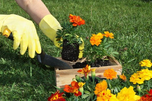Professional garden maintenance services