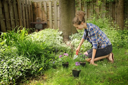 Beautiful garden setup showcasing various plants