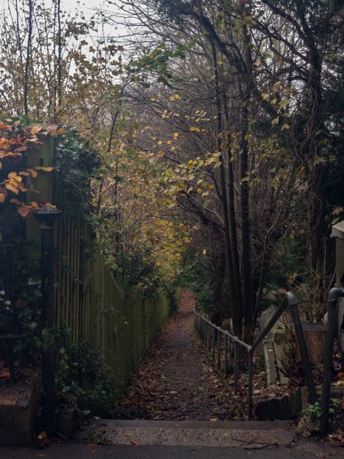 A narrow, uneven garden pathway with a mixture of dirt and fallen leaves, bordered by a green wooden fence on the left and a metal handrail on the right. The path is surrounded by tall, leafless trees